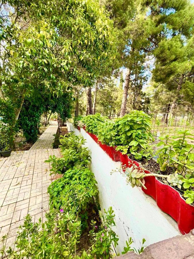 Villavictoria Marias View Pool Apartment Peraia  Екстер'єр фото